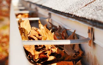 Acton Trussell gutter cleaning companies