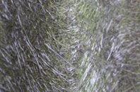 Acton Trussell fibreglass roof work